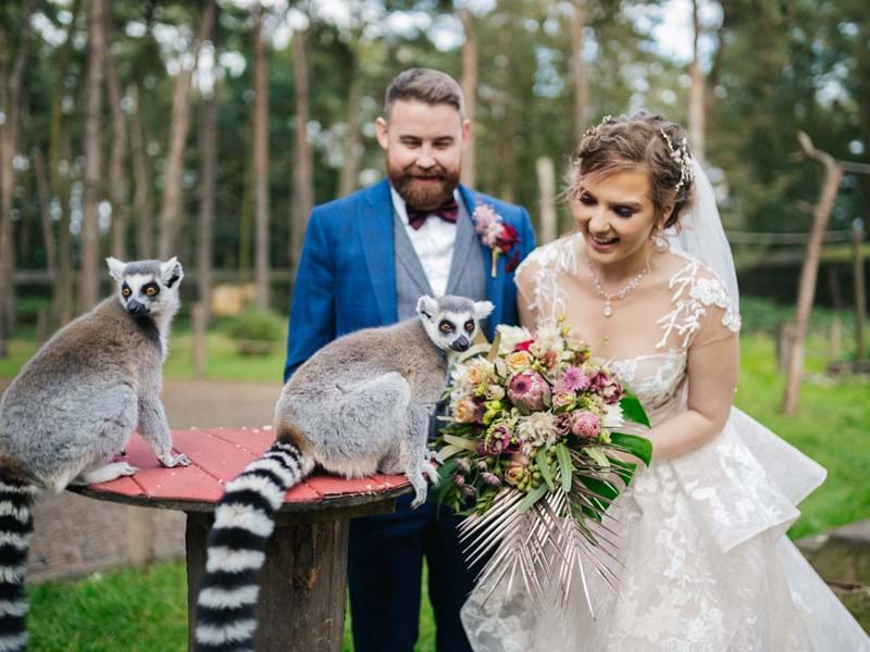 Bride and Groom with Lemurs